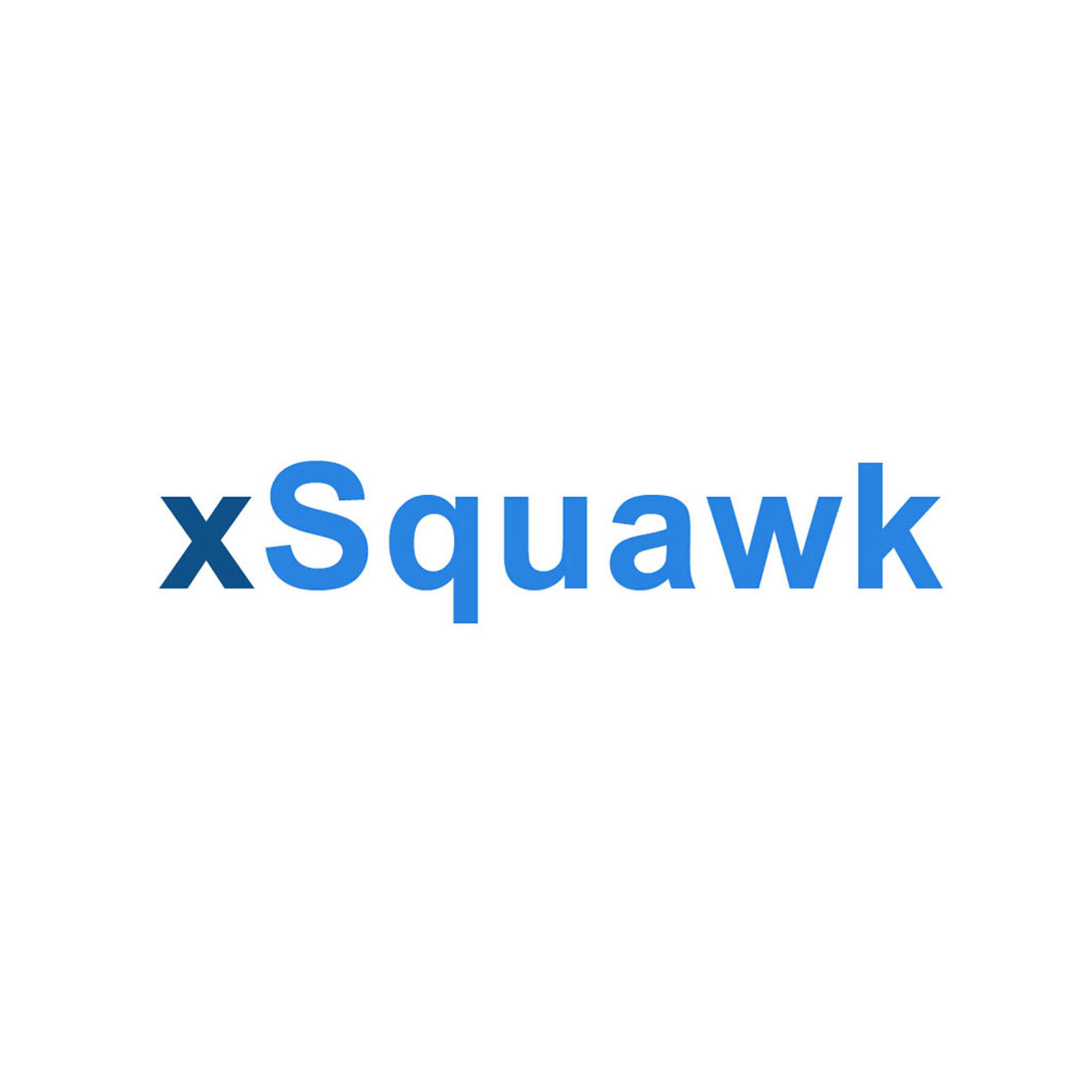 New branding for xSquawk Player broadcasting live squawk from the floor of the Chicago Mercantile Exchange and financial news; © Jane Rubin 2004